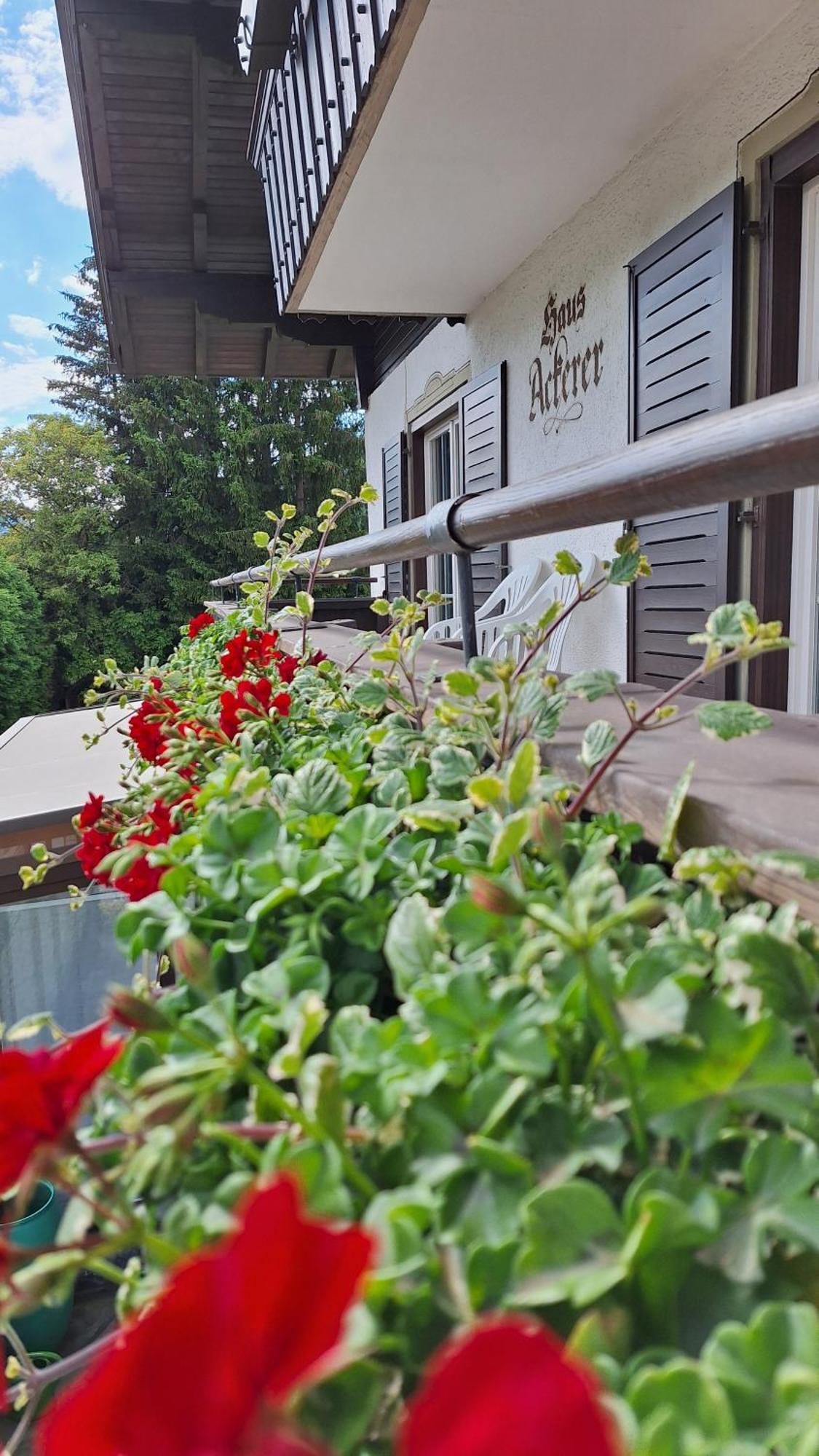 Apartmán Haus Ackerer Leogang Exteriér fotografie